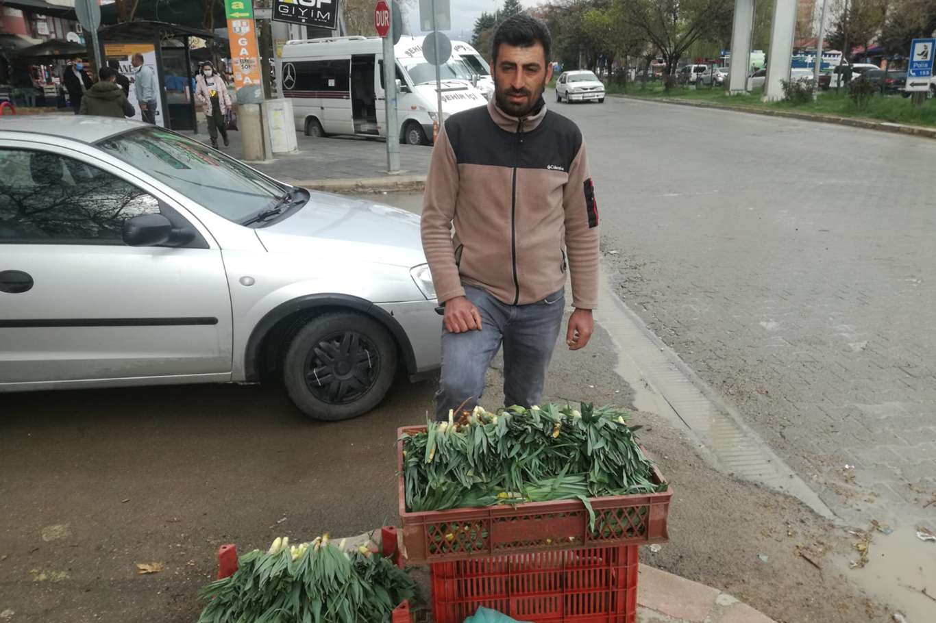 Yayla muzu "Uçkun" tezgahlardaki yerini aldı Yayla muzu "Uçkun" tezgahlardaki yerini aldı